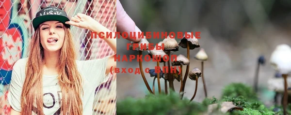соль ск Алексеевка