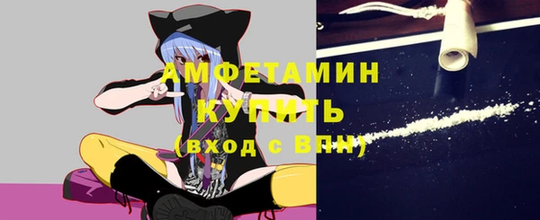 молекула духа Семилуки