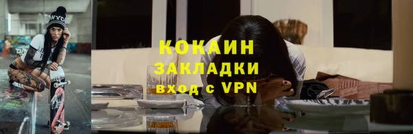 крисы Алзамай