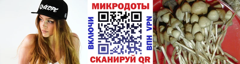 Псилоцибиновые грибы Magic Shrooms Ельня